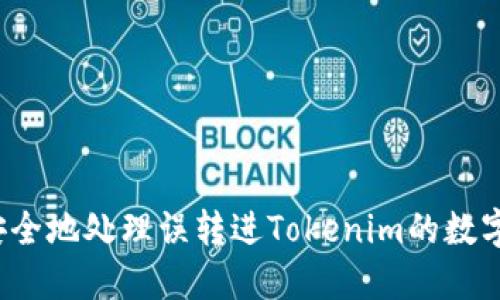 如何安全地处理误转进Tokenim的数字资产？