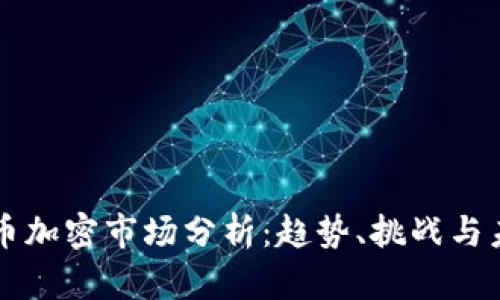 全球货币加密市场分析：趋势、挑战与未来展望