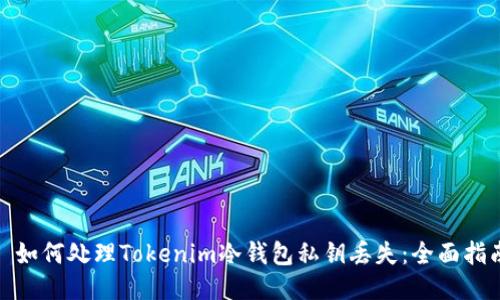 : 如何处理Tokenim冷钱包私钥丢失：全面指南