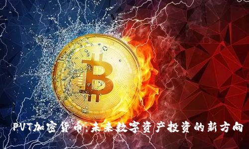  PVT加密货币：未来数字资产投资的新方向