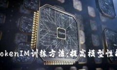深度解析TokenIM训练方法：