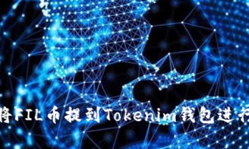 如何将FIL币提到Tokenim钱包进行存储