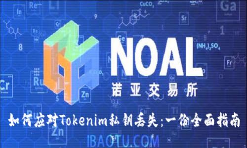 如何应对Tokenim私钥丢失：一份全面指南