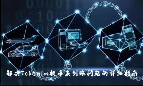 解决Tokenim提币未到账问题的详细指南
