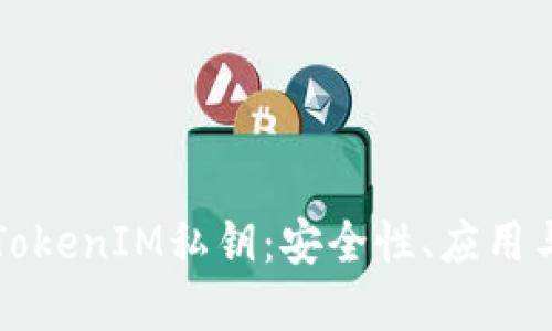 深入了解TokenIM私钥：安全性、应用与管理技巧