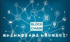 揭秘虚拟加密货币骗局：