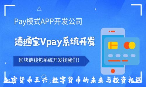  
加密货币王兴：数字货币的未来与投资机遇