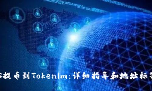 如何将EOS提币到Tokenim：详细指导和地址标签填写方法