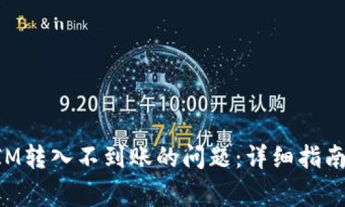 如何解决TokenIM转入不到账的问题：详细指南与常见解决方案