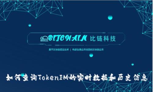 如何查询TokenIM的实时数据和历史信息