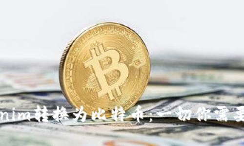 如何将Tokenim转换为比特币：一切你需要知道的指南