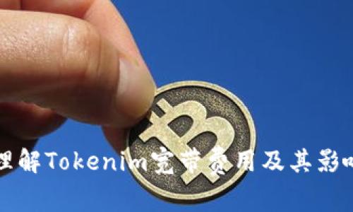 如何理解Tokenim宽带费用及其影响因素