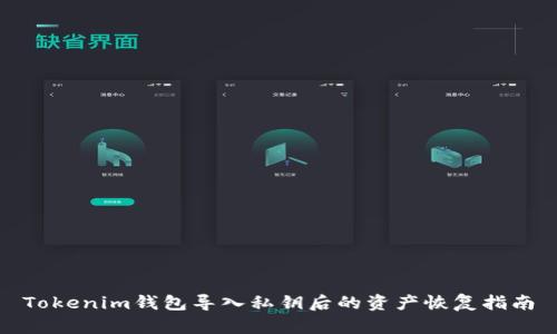Tokenim钱包导入私钥后的资产恢复指南