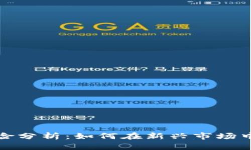 加密货币融资风险分析：如何在新兴市场中保护投资者利益