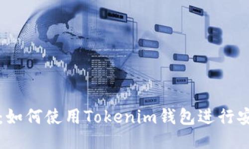 区块狗：如何使用Tokenim钱包进行安全付款