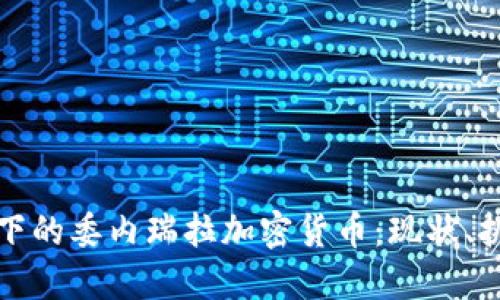 全球视野下的委内瑞拉加密货币：现状、挑战与未来