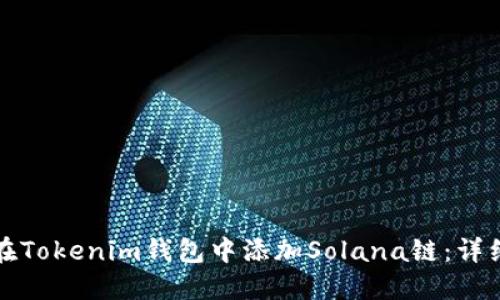 如何在Tokenim钱包中添加Solana链：详细指南