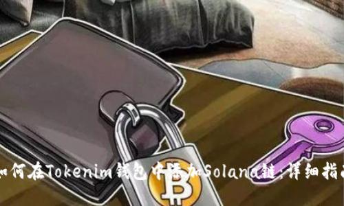 如何在Tokenim钱包中添加Solana链：详细指南
