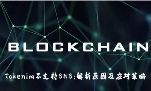 Tokenim不支持BNB：解析原因及应对策略