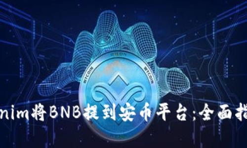 如何通过Tokenim将BNB提到安币平台：全面指南与实用技巧
