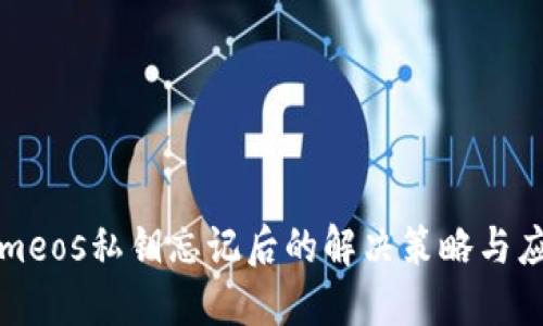 Tokenimeos私钥忘记后的解决策略与应对指南