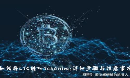 如何将LTC转入Tokenim：详细步骤与注意事项