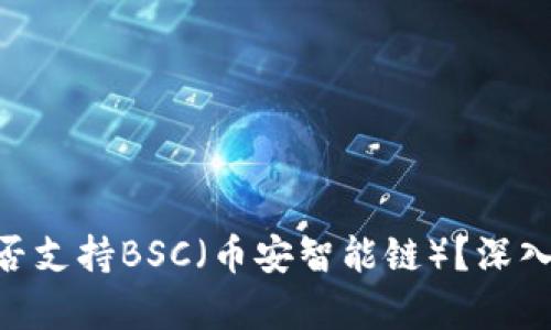 Tokenim是否支持BSC（币安智能链）？深入分析与指南