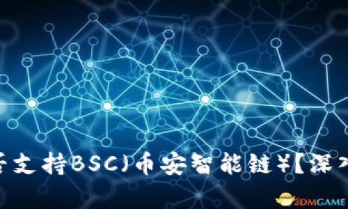 Tokenim是否支持BSC（币安智能链）？深入分析与指南