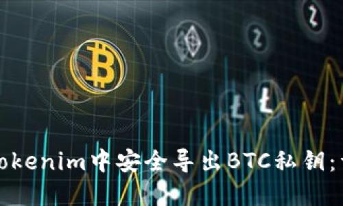 如何在Tokenim中安全导出BTC私钥：详尽指南