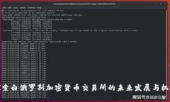探索白俄罗斯加密货币交易所的未来发展与机遇
