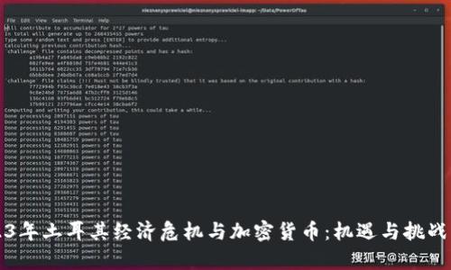 2023年土耳其经济危机与加密货币：机遇与挑战分析