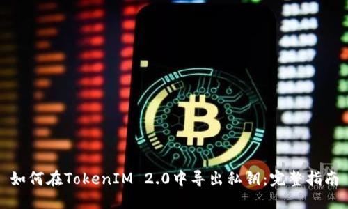 如何在TokenIM 2.0中导出私钥：完整指南
