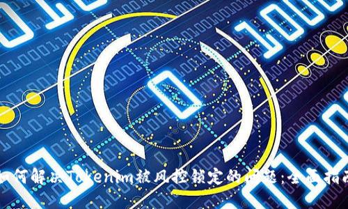 如何解决Tokenim被风控锁定的问题：全面指南