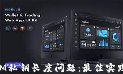 
理解TokenIM私钥长度问题：最佳实践与解决方案