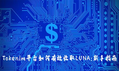 Tokenim平台如何有效收取LUNA：新手指南