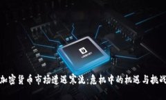 加密货币市场遭遇寒流：危机中的机遇与挑战